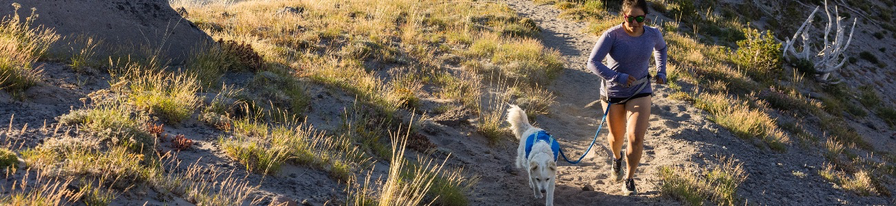 Titelbild von Ruffwear: Der Spezialist für hochwertige Outdoor-Hundeausrüstung!