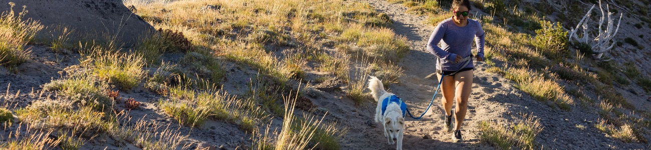 Titelbild von Ruffwear: Der Spezialist für hochwertige Outdoor-Hundeausrüstung! 