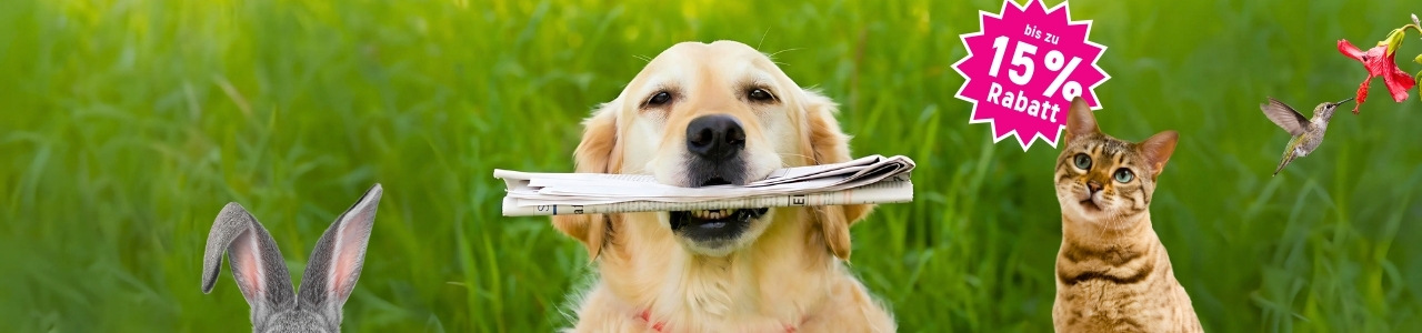 Hund mit Zeitung und weitere Tiere